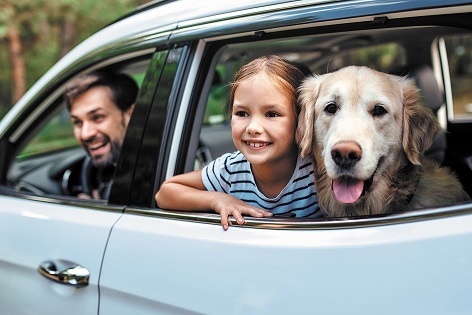 AutoSafe | Motor Insurance